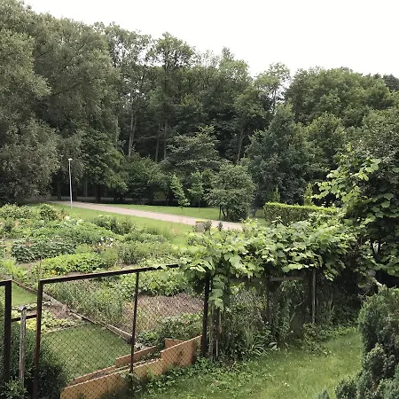 Sportowy Nad Jeziorem *